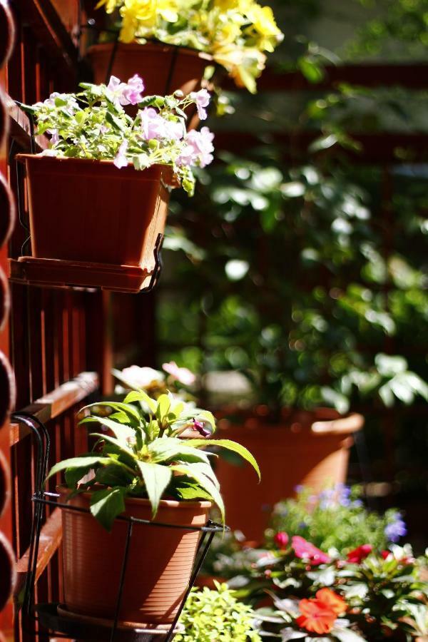 Downtown Garden Isle In Urban Style-Free Parking Apartment Budapest Exterior photo